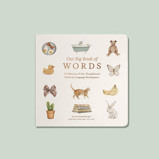 Our Big Book of Words (Baby Board Book)