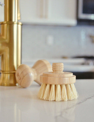 Modular Brush Refill Heads ONLY