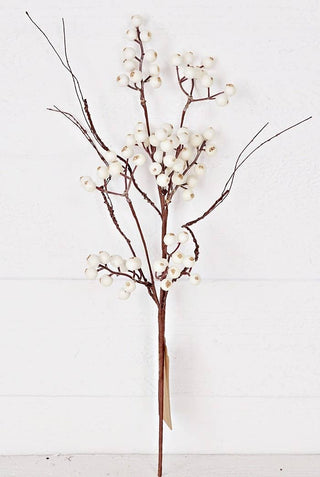 White snowberries with wispy twigs