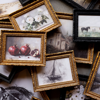 Antique Pomegranate | French Brass Gold Mould Framed Art
