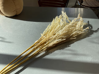 Fall Colored Oat Branches