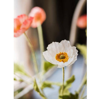 Silk Common Poppy Flower Stem in Pink or White 22" Tall