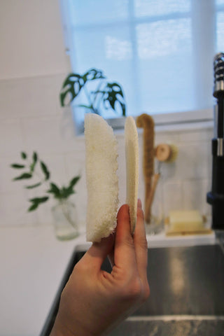 Loofah Dish Sponge: Single Layer 3-Pack