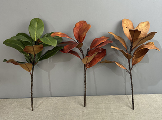 22''T Nature Touch Faux Magnolia Leaf Branch, Indoor/Ourdoor
