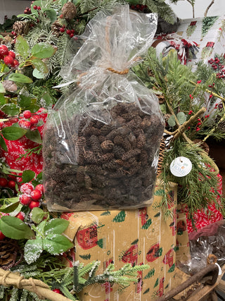 Bag of Birch Pinecones