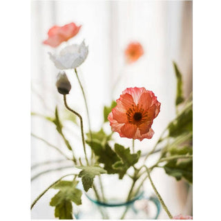 Silk Common Poppy Flower Stem in Pink or White 22" Tall