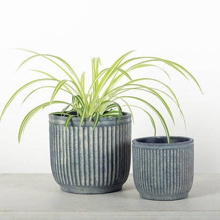 Textured Flower Pots, Set of 2