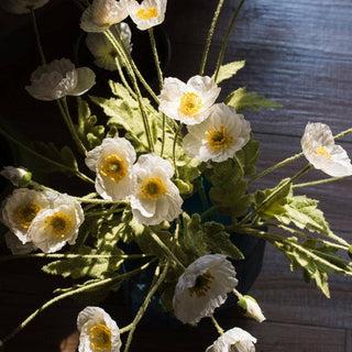 Silk Common Poppy Flower Stem in Pink or White 22" Tall