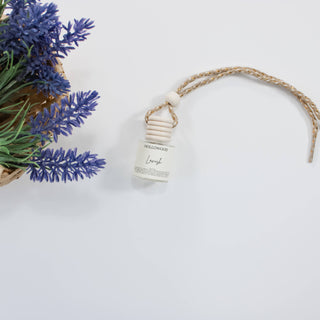 SPRING CAR DIFFUSERS