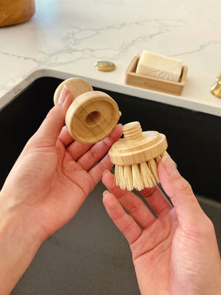 Modular Brush Refill Heads ONLY