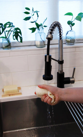 Loofah Dish Sponge: Single Layer 3-Pack