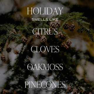 Holiday 9 oz Soy Candle - Christmas Home Decor & Gifts