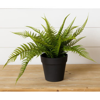 Potted Faux Fern