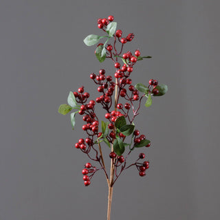 Branch - Cranberries