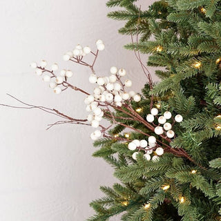 White snowberries with wispy twigs