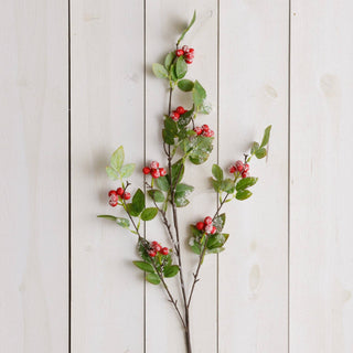 Branch - Berry Spray With Frost