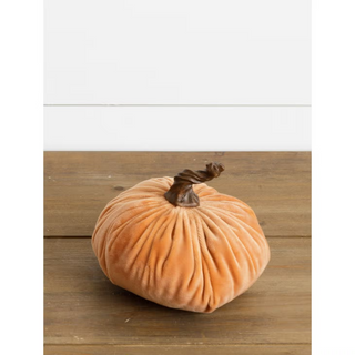 Velvet Pumpkin, Orange